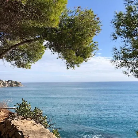 Amatista * Calpe